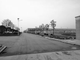 点击放大 图片点击可在新窗口打开查看