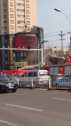 家庭教师是邻家大姐姐?动图 妹子那两个不安分的球球