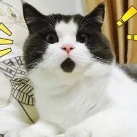 正常汽车体积的一半、特斯拉两倍的续航、百公里加速3秒！什么电动车这么牛？