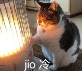 新年初体验,来明故宫买年货喽!|明故宫|山水|乡