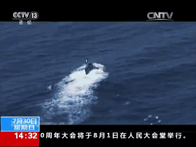 ▲图片来源:央视新闻