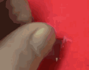 确认过眼神,我遇上了广东人 俾10蚊利是系乜