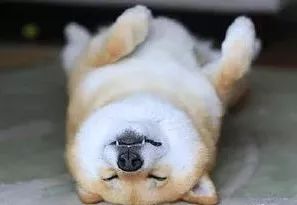 СȾŵ粡ŮӰ15ΣԹˮ