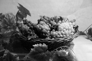 葡萄常深受慈禧喜爱|慈禧|葡萄|玻璃