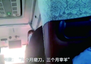 女导游正在推销1680元的雪乡游览套票。 视频截图