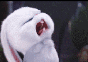 拼！为叫孩子起床，杭州家长下载上课铃声做闹