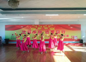 沈彩乐龄·携爱同行 喜迎新年敬老汇演主题活