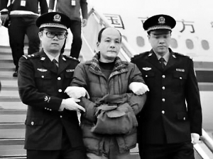 周骥阳红通人员半数落网