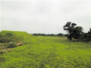 全面查找问题 尽快补齐短板|环保|秀英区|整改