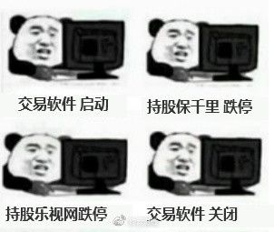 一个已经将连续跌停纪录刷新到了26个，另一个则以每天10%的跌速奋起直追了8天