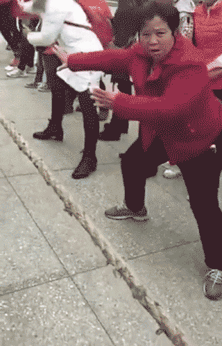 10大糗闻:抖m汪?柴犬熟练运用静电每日沉迷于被电