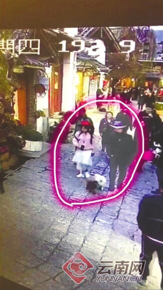 泰迪犬和博美邊玩邊走(監控截圖)