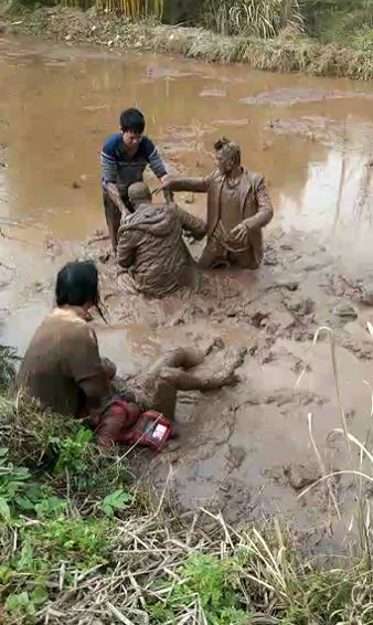 怎么回事?开车路上相遇,两司机打架打到被稀泥