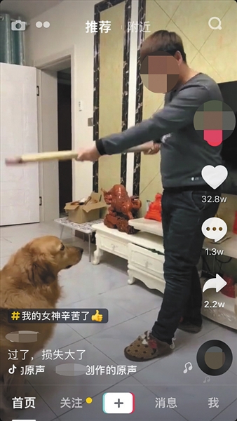 抖音截图,内容为一名用户正在向宠物狗“训话”。