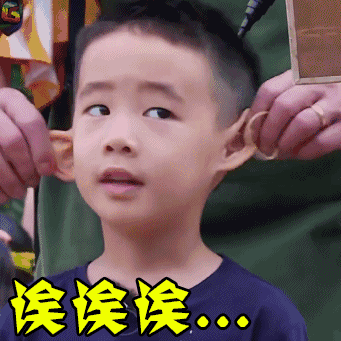 挨揍的,整个综艺节目的主角光环都给了他~但是帅气的max也很出彩啊!