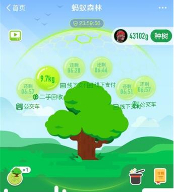蚂蚁森林上线了9.7KG能量球,50万人争着为它