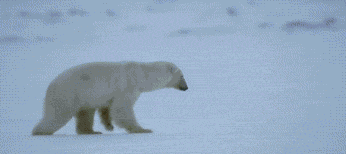 拍迪迦奥特曼的女神多水嫩?动图也想摸妹子的白丝