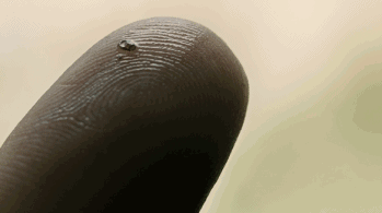 看完这个电影无法直视鳗鱼.