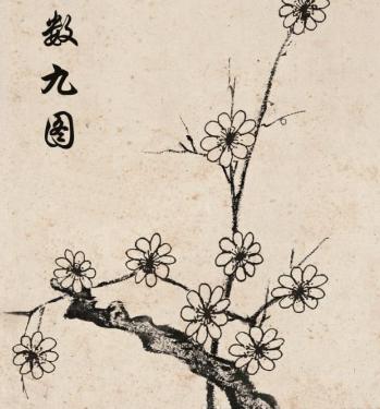 画重点!为何今日雪花纷飞 这个习俗里有答案