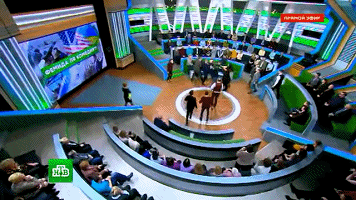1519450486951448.gif