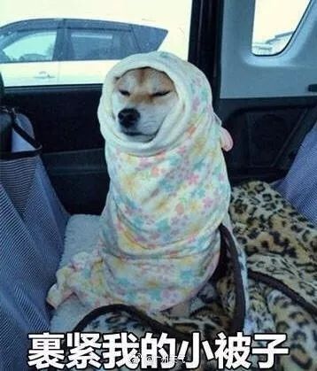 终于要回温了!准备和“冻手冻脚”的天气说byebye吧~丨新闻早茶|地铁|科比|新能源汽车_新浪新闻