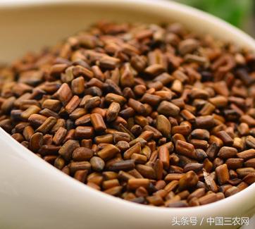 一粒小种子 不仅睡的好 缓解便秘 还能消除腹部