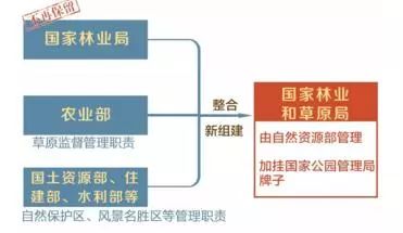 重磅!组建国家林业和草原局 国务院机构改革方
