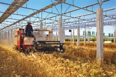 中利集团:创新三代农业光伏精准扶贫项目 助力