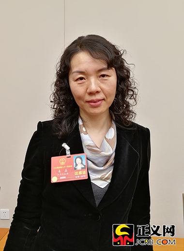 朱晶代表:乡村振兴战略治理有效不仅需德治更