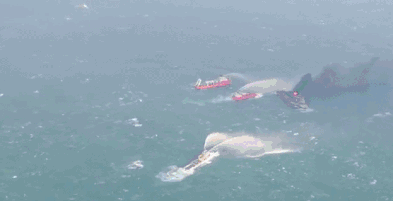 6万吨凝析油会不会污染大海?