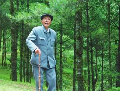 杨善洲【相关词_杨善洲介绍】