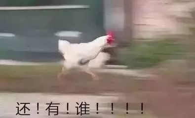 СȾŵ粡ŮӰ15ΣԹˮ