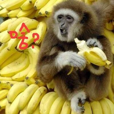 重磅通知!市教育局发话:禁止给家长布置作业,代