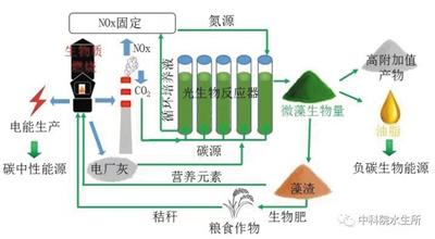 微藻不仅能吃下雾霾元凶,还能产出上等生物油脂。