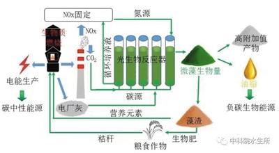 微藻不仅能吃下雾霾元凶，还能产出上等生物油脂。