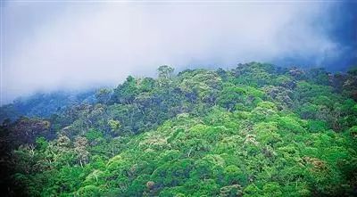 海南出台史上最严苛土地管理措施!禁止将商品
