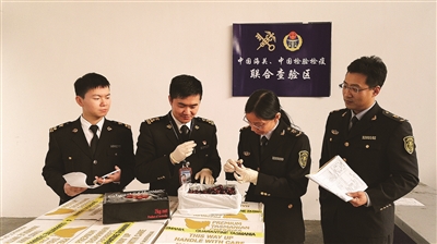 顺应新时代要求 高质量服务南京外贸新发展