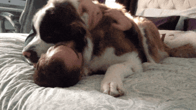 400_225gif 动态图 动图