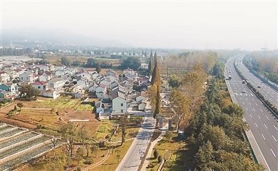 新塘镇沙浦村人口_广州增城市新塘镇沙浦边村一在建工地挡土墙发生大面积坍