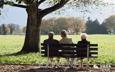 河南省健康养老产业开放合作大会召开,66个项