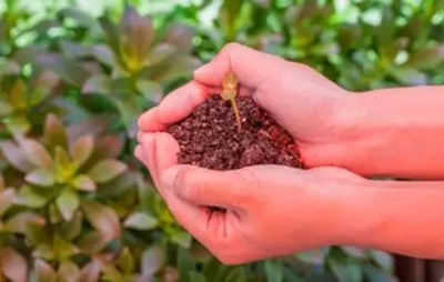 两高和司法部同时发涉产权案例:铁腕保护财富