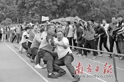 男女混合拔河比赛的队员奋力拼搏.张变摄