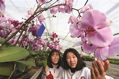今天的老师是花农|张正友|新浦|花农