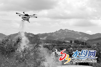 现代农业跑出加速度 主导产业实现提质增效