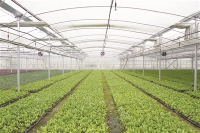 紫藤园:现代农村产业融合的缩影|苗圃|靖江|旅游_新浪新闻