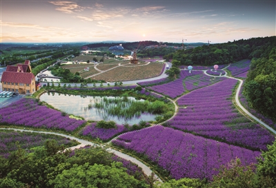 田园牧歌奏响特色田园乡村主旋律|牛首山|谷里|旅游_新浪新闻