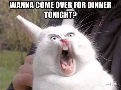 别跟我哇哇叫什么意思 hiw6-fyrpeie0666133.jpg