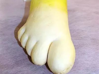 大年初九 ▎给你看这些"不正经"的照片,笑掉你的牙,专治不开心