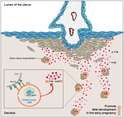 母胎单身女程序员脱单秘籍 内向女生如何快速找到另一半