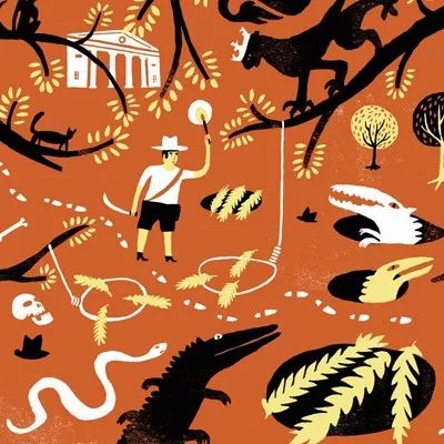 淡化风格科技股投资有套路 安信基金:2018仍值